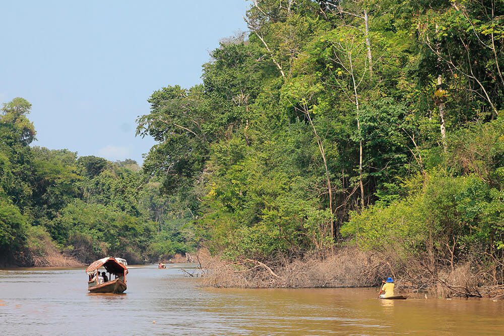 Barcos navegando por un río selvático entre vegetación exuberante.