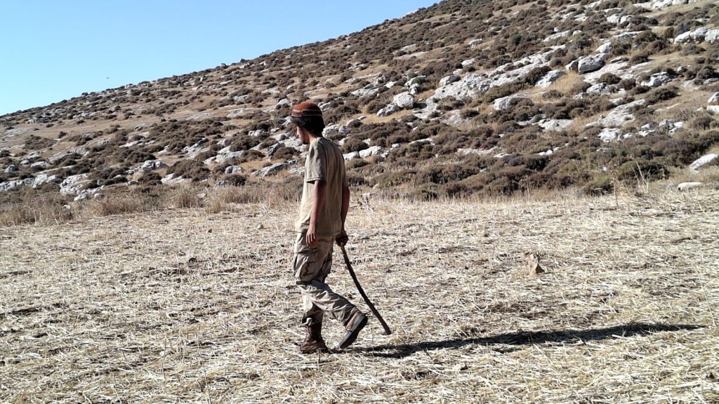 Joven con gorro y bastón camina por campo seco árido.